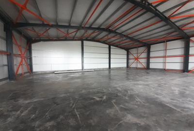 Spațiu industrial, de 570 mp, în Industriilor