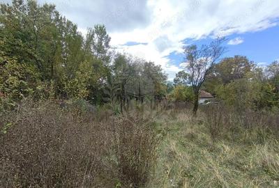 Teren de 3800 mp, în Cornu - 5