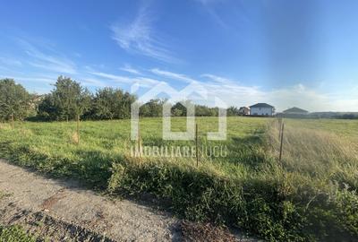 Teren Construcții intravilan de 1450 mp, în Jucu de Mijloc - 2
