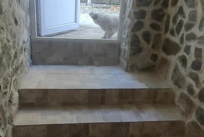 Casa Lipovei de vanzare - 8