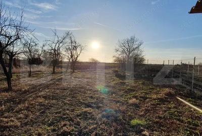 Pachet complet: casa + 800 mp Cocorastii Colt - 3