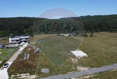 Teren de 3322 mp, în Paltin - 11