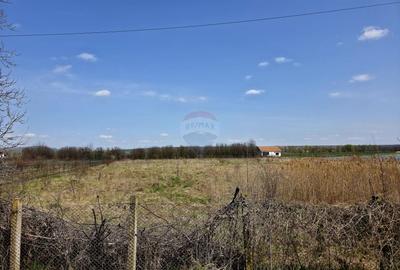 Teren Construcții intravilan de 7000 mp, în Girov - 2