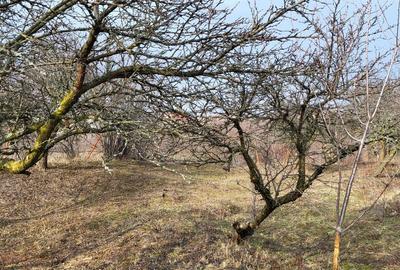 Teren de 4300 mp, în Central - 3