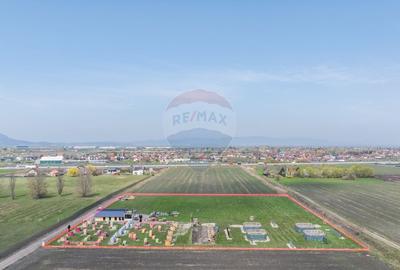 Teren Construcții intravilan de 13300 mp, în Bartolomeu - 11