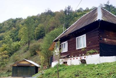 Casa de vanzare in Bistra -3800 mp teren - 2