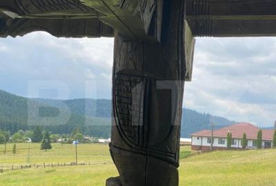 Pensiune Co?na, Vatra Dornei, 600 mp - 4