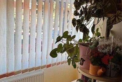 Apartament cu 3 camere în Cetate - 5