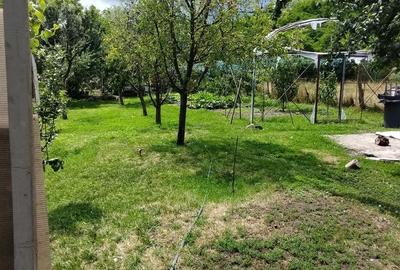 Casă cu gradina 1255mp cu sere, Copaceni , 25km de Cj-N,comision 0% - 8