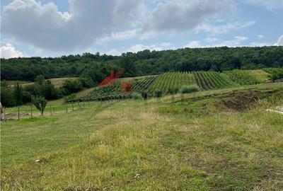 Spațiu comercial, în Tomești - 5