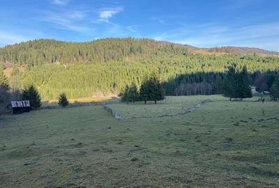De vanzare 6850 mp pasune langa Manastirea Doroteia - Frasin /Plutonita - 13
