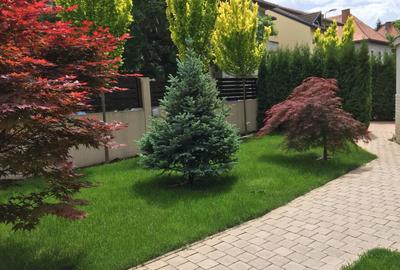 Vila pe doua niveluri pentru birouri - zona Brasovul Vechi-cod 5183 - 10