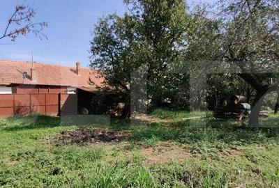 Casa mare cu gospodarie completa Belin?, jude?ul Timi? teren 4.900 mp - 12