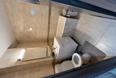 Inchiriere Apartament 2 camere, Zona Trivale (generala 13) - 6