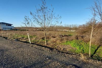 Teren de 1235 mp, în Exterior Vest - 5