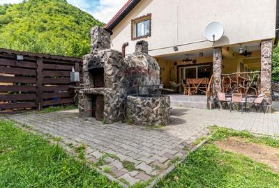 Cabana de vanzare -Marisel, 10 camere, terasa 41mp, piscina, ciubar - 6