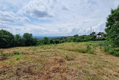 Teren Baia Sprie: 5143 mp, Parcelabil, Comision 0! - 2