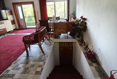 Casa particulara 9 camere, suprafata utila 460mp, comuna Frumusani, Curte 3400mp - 22