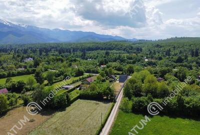 Teren intravilan 4100 mp in Avrig zona Valea Avrigului - 6