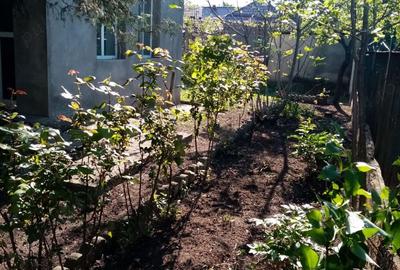 Casă cu 5 camere cu Teren 1717 Mp în Corabia - 1