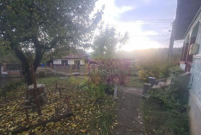 Casă cu 3 camere cu Teren 3410 Mp în Aluniș