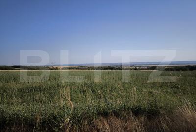 Teren 30.350 mp (600 mp intravilan) - ideal investitie, Carcea Metro