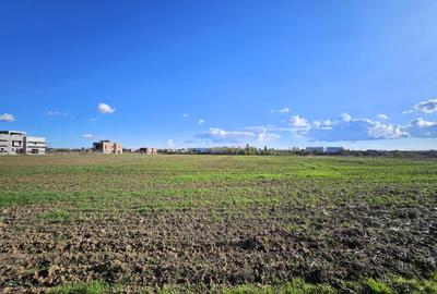 Teren intravilan Balotesti / 5.000 mp / D: 18 m / langa lac / comision 0% Teren intravilan Balotesti / 5.000 mp / D: 18 m / langa lac / comision 0% - 9