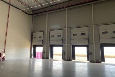 Spatii de depozitare si productie Otopeni - Odai - 2
