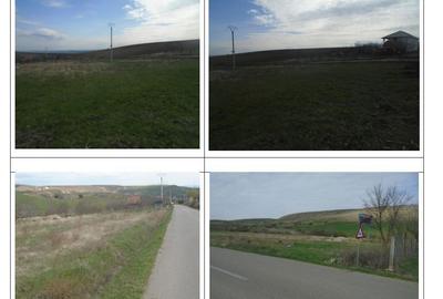 Spațiu comercial, în Central