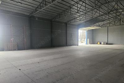 Spațiu comercial, de 800 mp, în Cărpiniș - 2