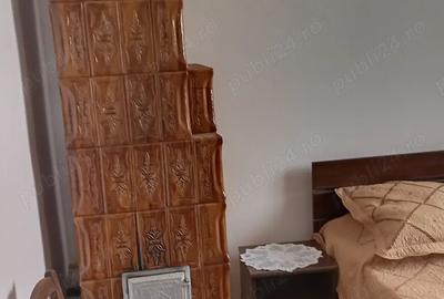 Casa P+m + teren de vanzare Izvoarele,Chiriacu, Giurgiu - 5