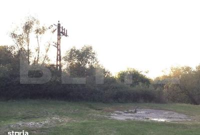 Teren de 25383 mp, în Belinț - 1