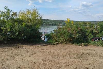 Teren de 1000 mp, în Vrancea - 4