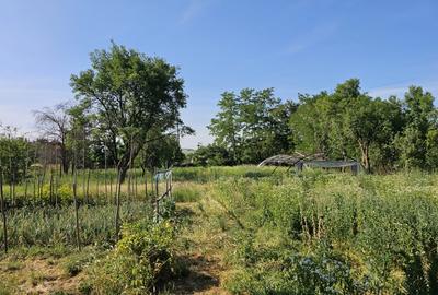 Casa 5 dormitoare, 2 Bai. Strei, Hunedoara Casa 5 dormitoare, 2 Bai. Strei, Hunedoara - 6