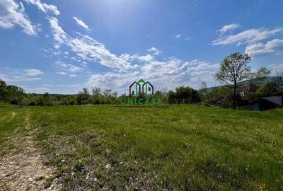 Teren Goranu 1769 mp/Intravilan - 2