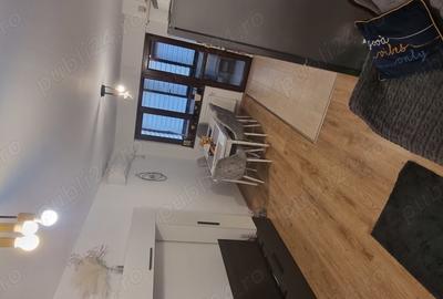 Apartament cu 2 camere decomandat în Bucium - 5