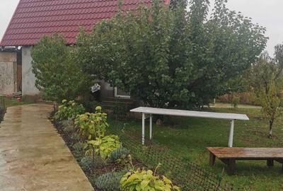 Casă cu 4 camere în Aroneanu - 6