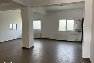 Spațiu comercial, de 127 mp, în Viișoara - 1