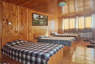 Casa generoasa mobilat utilata Sinca Noua - 14