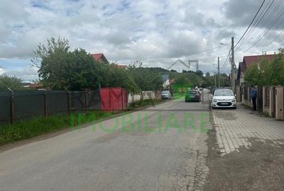 Teren de inchiriat-Sanpetru - 6