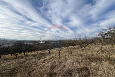 Teren intravilan de 34425 mp, în Bădeni - 2