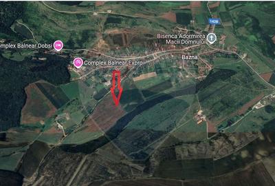 Teren 10.950 mp in apropierea Complexului Balnear Expro B... - 3