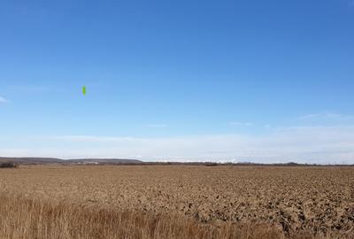 Teren agricol intravilan de 5037 mp, în Moșoaia - 2