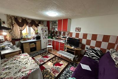 Casă individuală cu 4 camere cu Teren 196 Mp în Plantelor - 8