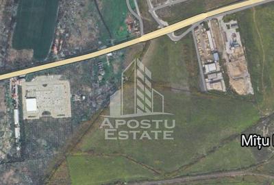 Parcela de teren 1000 mp, ideala investitie, zona Mehala. - 1