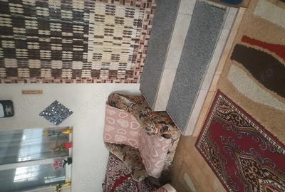 Casa de vanzare 23 august Casa de vanzare 23 august - 10