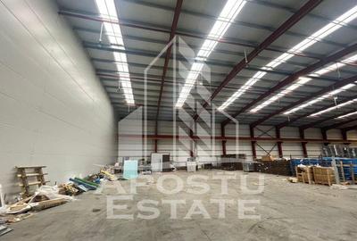 Hala 600 mp constructie noua Sacalaz - 5