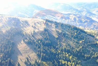 Teren 47,732mp Panaci / Strada MIhailet - 6