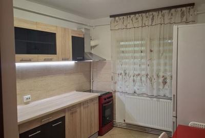 Apartament cu 2 camere semidecomandat în Paltiniș - 4