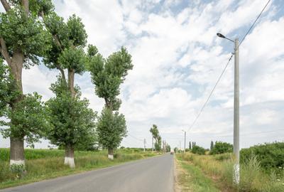 Teren Cernica,pentru Dezvoltare Reziden?iala sau Industria - 16